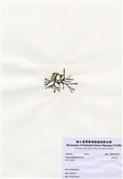 藏品(交織松藻)的圖片